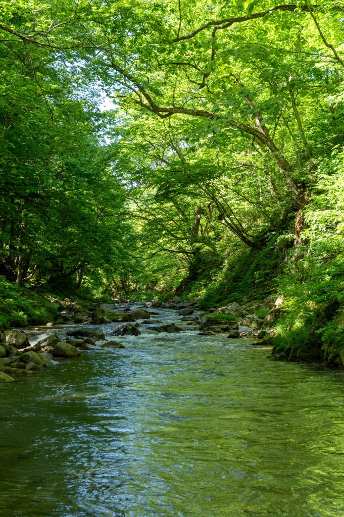Geomorphic Trends Assessment Waiohine River