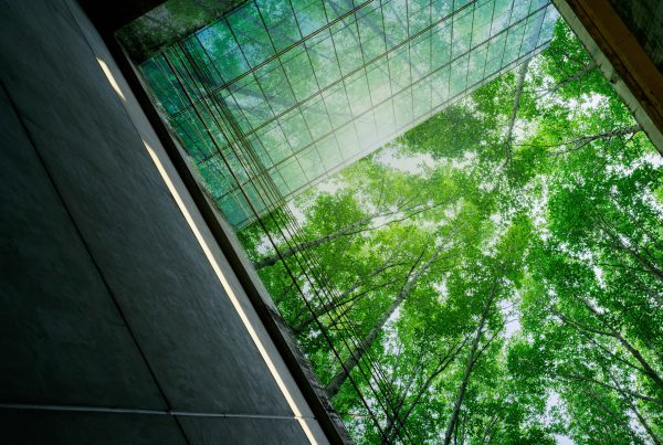 Good Growth: Rewired, Rerouted, Revalued