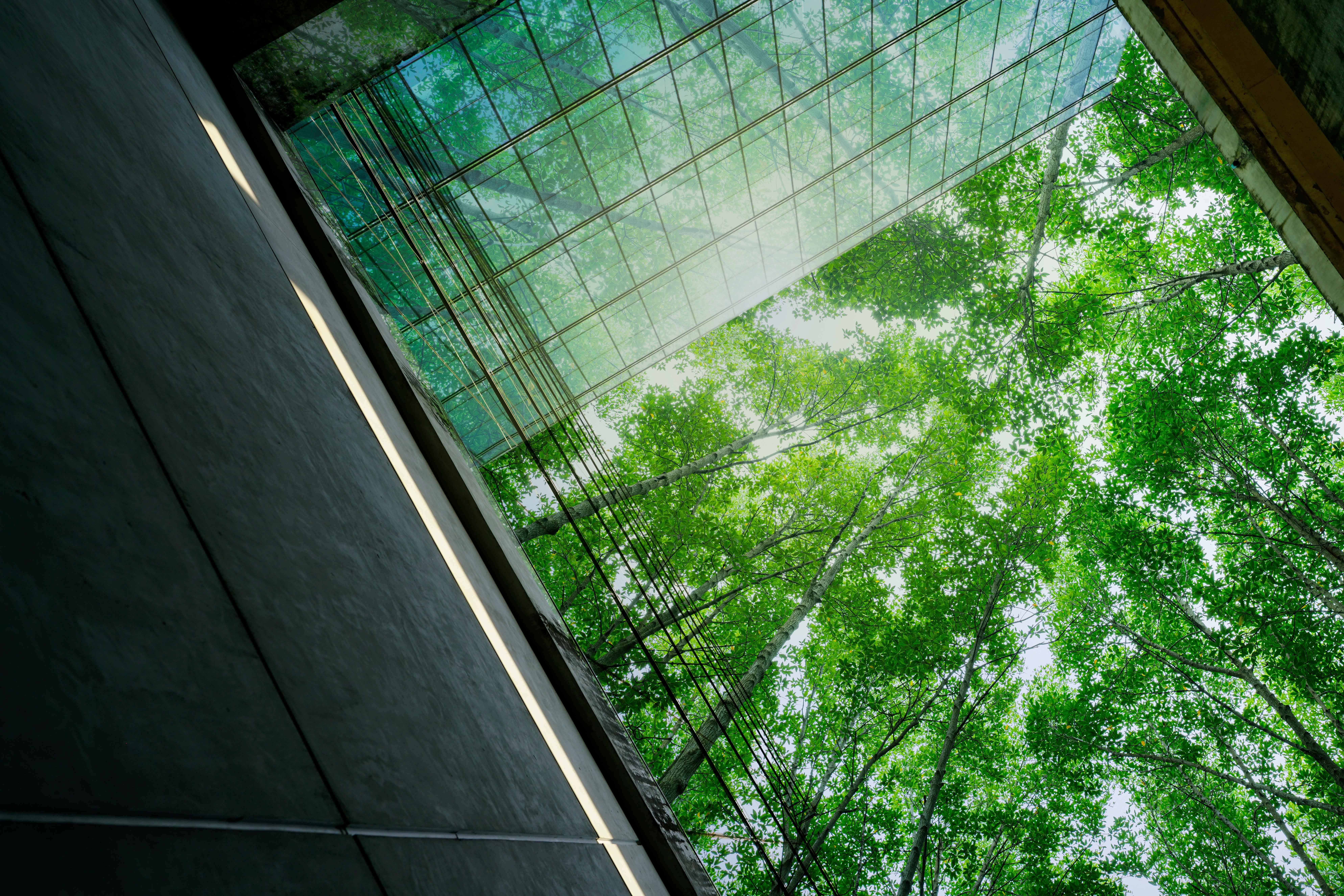 Good Growth: Converging systems for a low-carbon future