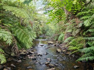 Taking care of nature