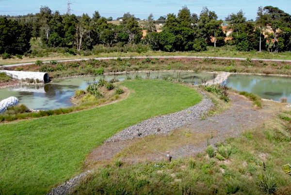 Drury South Precinct, South Auckland | Integrated Civil & Wetland Design