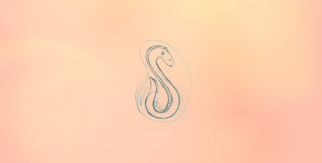 Sketch of tuna by iwi for the Drury South Precinct