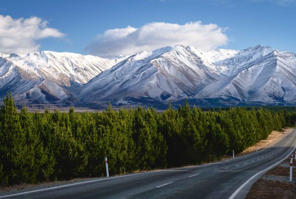 In the first article of our RMA reforms series, Grant outlines how the Planning Bill’s proposed designation framework can equip infrastructure providers, councils, developers, and project teams with practical steps and critical understanding to adjust to key system changes, anticipate likely challenges, and make informed project decisions.