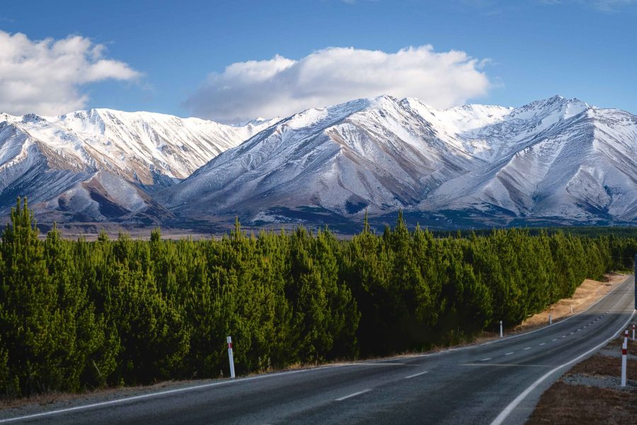 In the first article of our RMA reforms series, Grant outlines how the Planning Bill’s proposed designation framework can equip infrastructure providers, councils, developers, and project teams with practical steps and critical understanding to adjust to key system changes, anticipate likely challenges, and make informed project decisions.