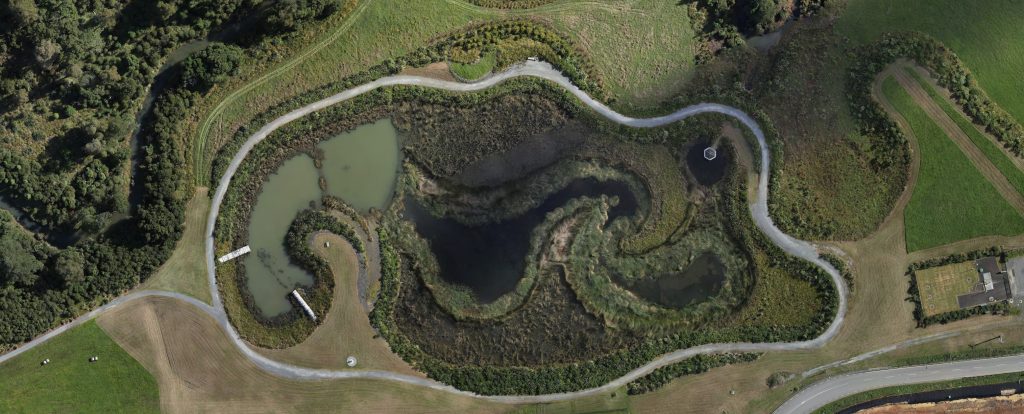 Drury South Wetland