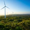 Palmer Wind Farm, Victoria