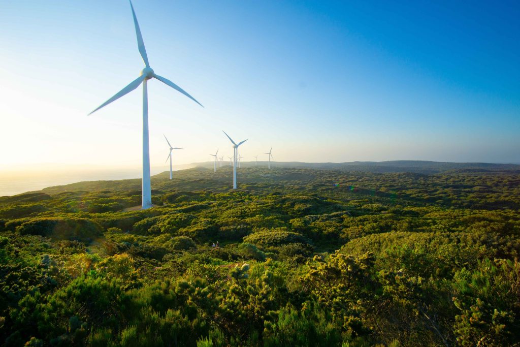 Palmer Wind Farm, Victoria