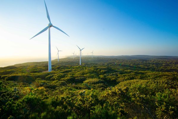 Palmer Wind Farm, Victoria