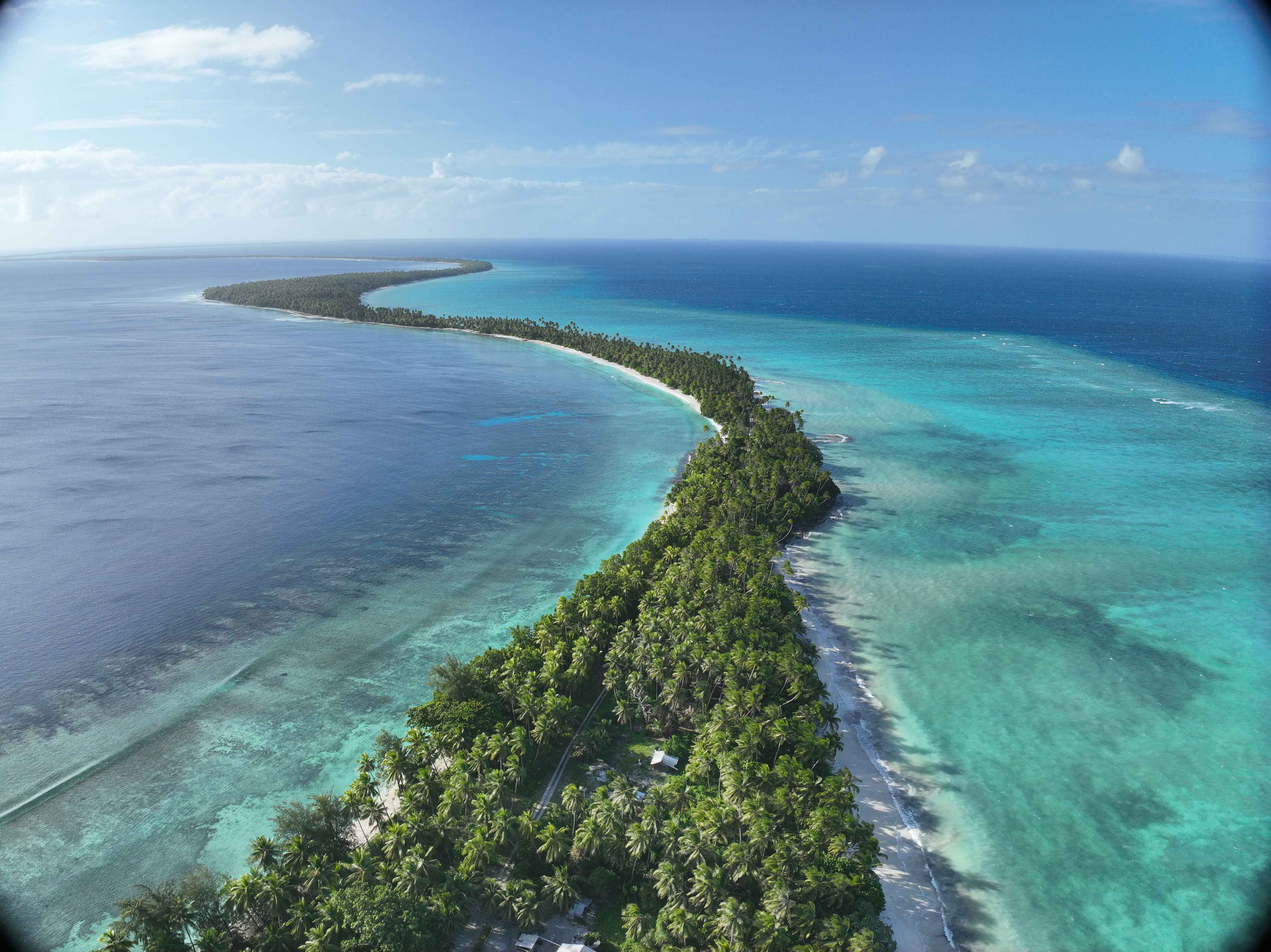Nature-based solutions for coastal resilience in the Pacific