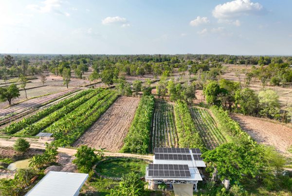 The human side of energy transition 