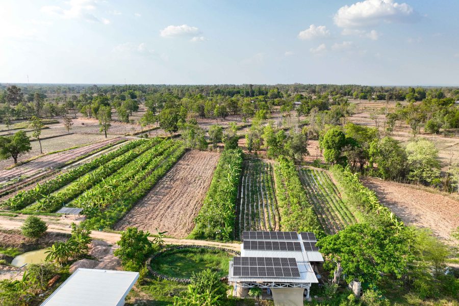 The human side of energy transition 