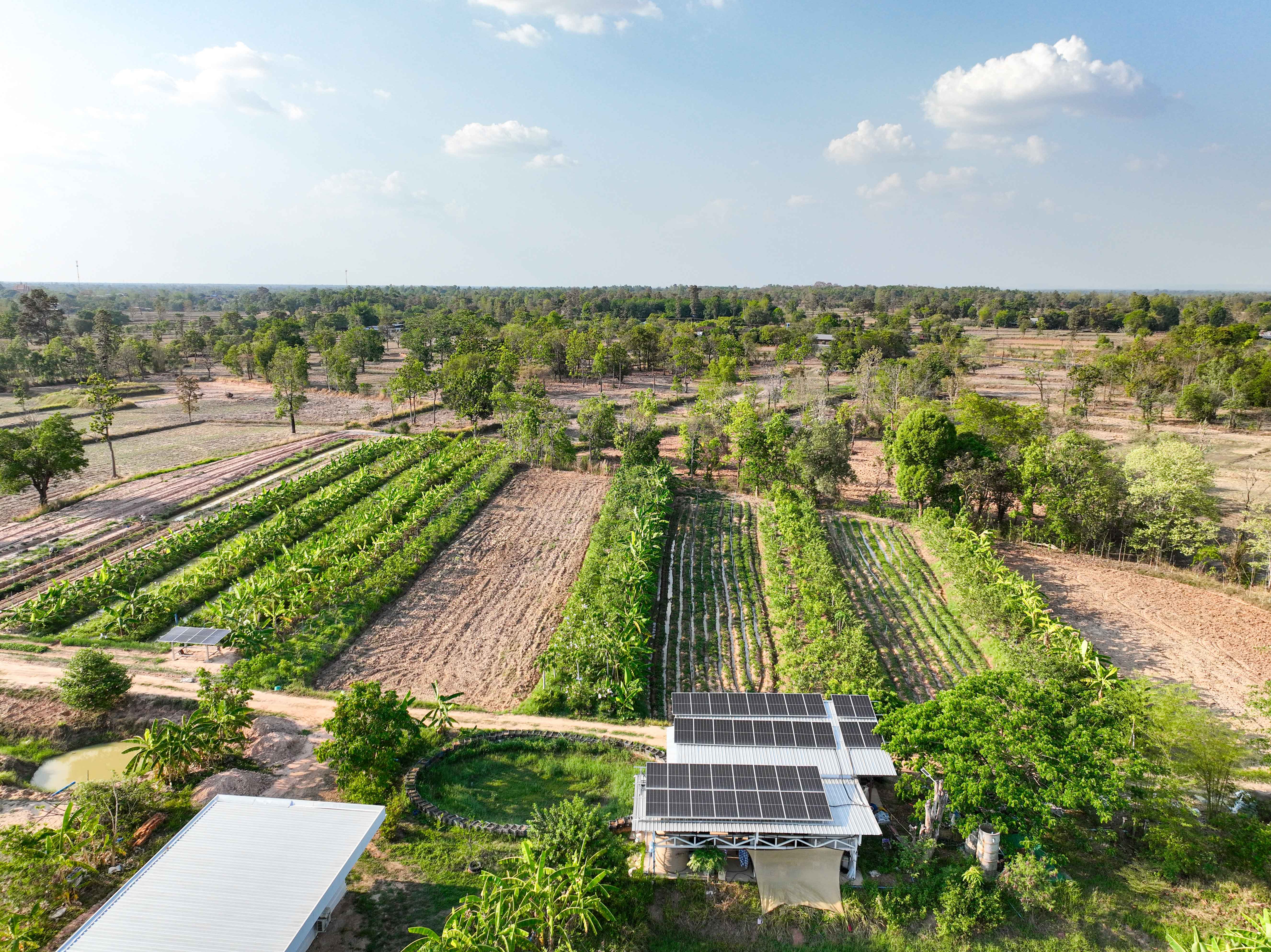 The human side of energy transition