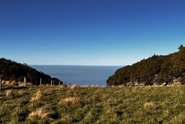 The Mt Cass Wind Farm is a 94.6 MW renewable energy project under construction near Waipara in North Canterbury, South Island.